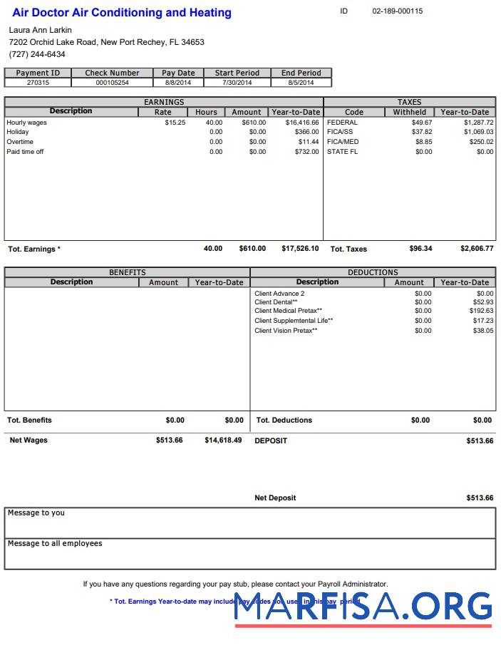 Downloadable Air Doctor Paystub example